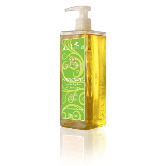 liquido pre eiaculatorio e gravidanza sapone-liquido-profumazione-agrumata